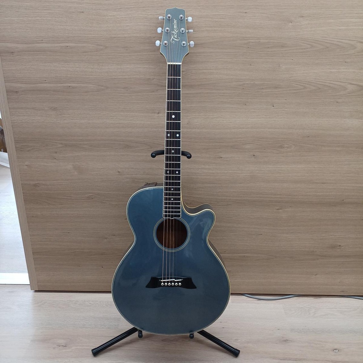 TAKAMINE PT－108