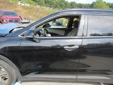 (NO SHIPPING) Driver Left Front Door LWB Fits 13-19 SANTA FE 1080255