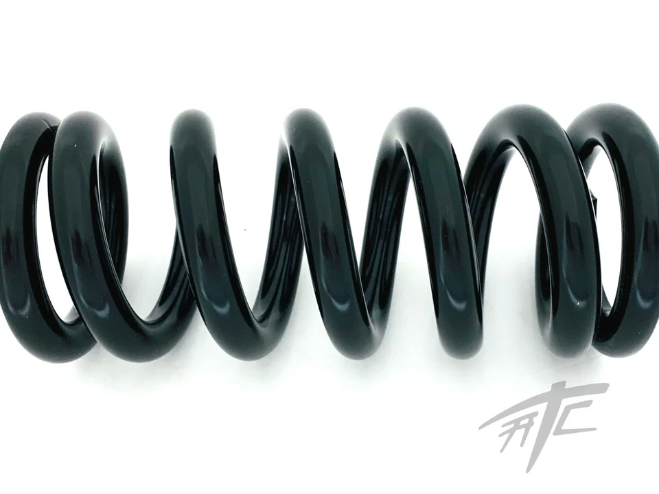 HAYABUSA NEGRO RESISTENTE SUPER PRIMAVERA 2001 SUZUKI HAYABUSA Foto 3 de 4