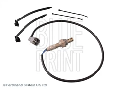 Blue Print Car Lambda Probes & Oxygen Sensors