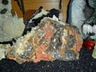 Bild 8 von 12