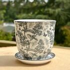 Chive Ceramic Planter - Liberte 3 Grey Forest Gardening Gift Succulent