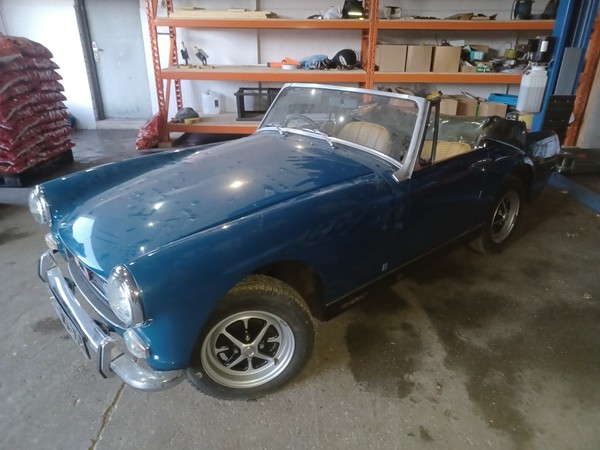 Image Placeholders2_edited.jpg