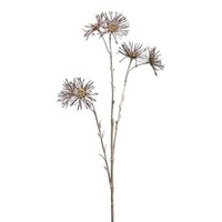 artplants Deko Zweig Margerite Snofel, Burgunderrot, 70Cm