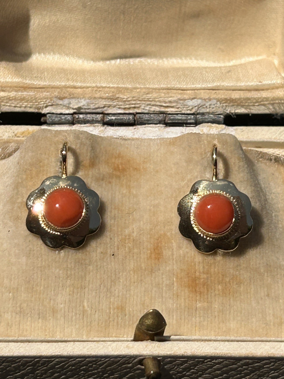 Foto 11 di 12