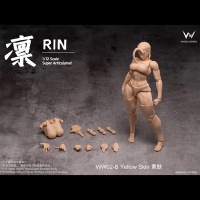 Whale Works Rin Yellow Skin Blank 1/12 Figure Body For Customs US SELLER