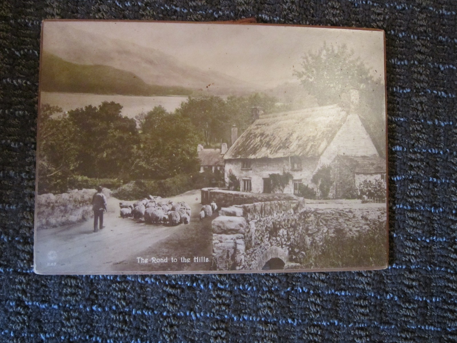 Picture 2 of 11