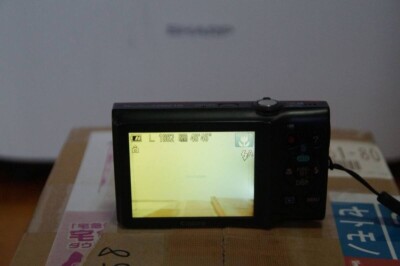 Canon PowerShot A2300 Compact Digital Camera English