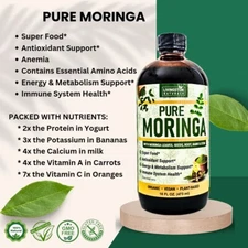 Pure Moringa By Livingston Natural Herbal Labs, Plant-Based, 16 oz. Super Food.