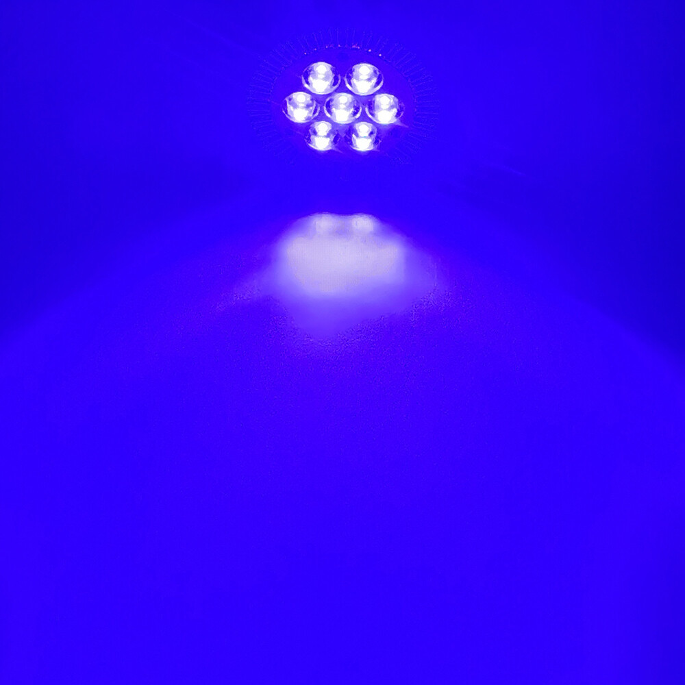 Picture 6 of 6