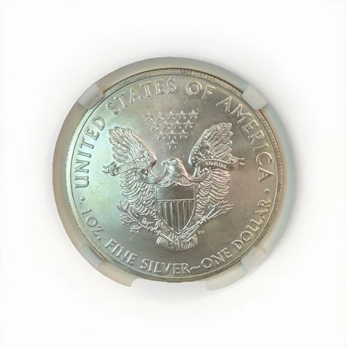 2013 $1 American Silver Eagle Uncirculated, Better Back Date Fast 🚢