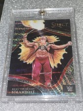 Ricky the dragon steamboat select octagonside elephant print 2022