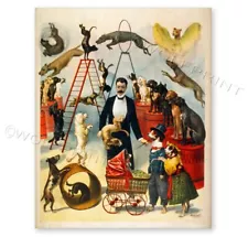 1899 Trained Dog Act Vintage Style Circus Poster  8x10 or 11x14