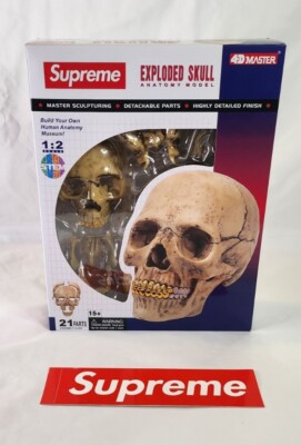 4D Supreme Human Skull With Gold Grill FW2023 Model / Puzzle NEW