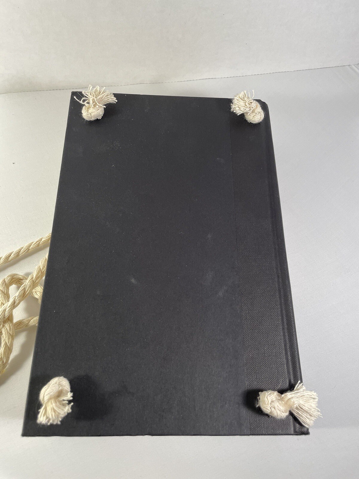 Picture 10 of 10