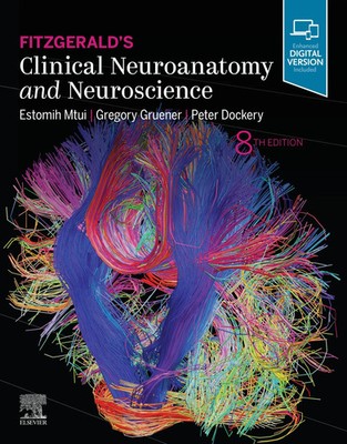 Fitzgerald's Clinical Neuroanatomy and Neuroscience | Estomih Mtui (u. a.)