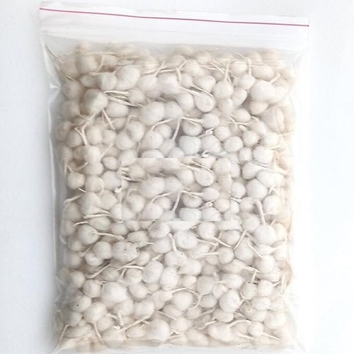 Om Pure Cotton Wicks, Diya Batti, Puja Batti for Aarti Pack of 500pcs -Free Ship - Picture 4 of 8