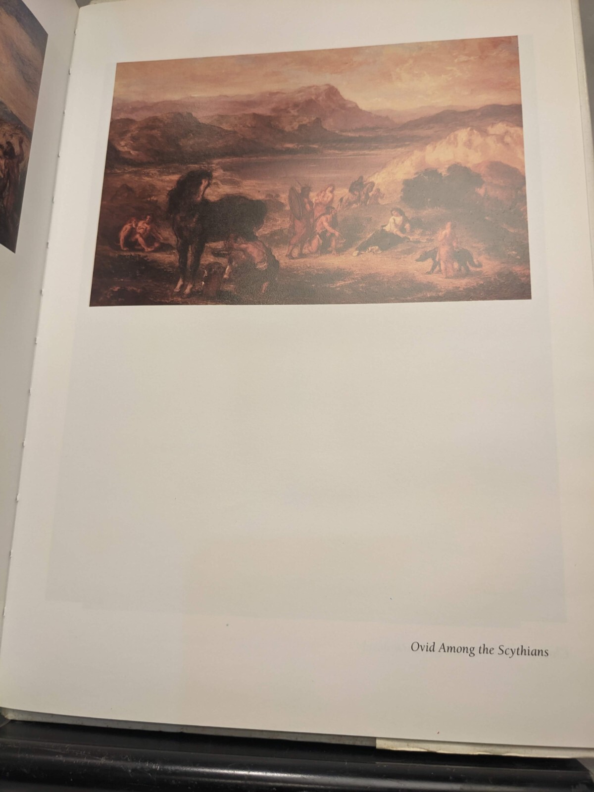 Picture 13 of 14