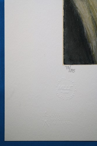 Susan Rios Signed & Numbered "Above the Garden" Serigraph 1989 (Serigraph Only) - Picture 5 of 10