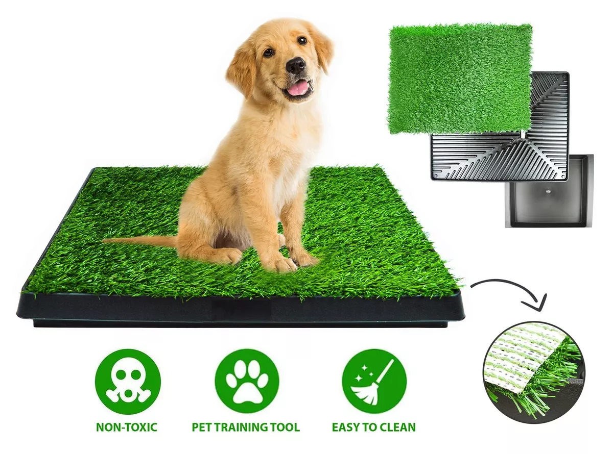 Artificial grass top for puppy training