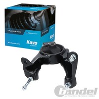 Kavo Parts Motorlager Hinten Passend FüR Toyota Avensis Corolla | EEM-9240