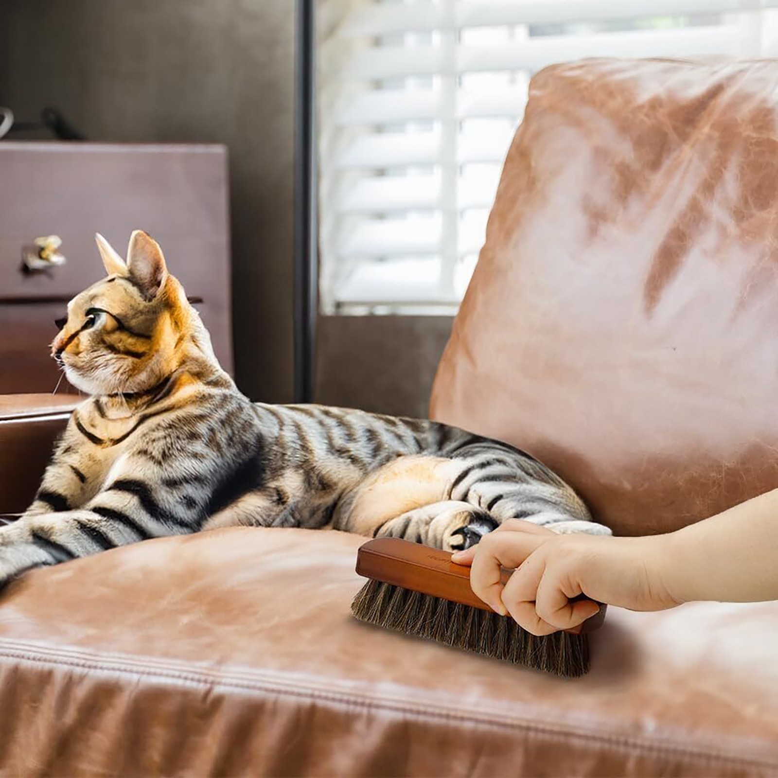 Shoe Cleaning Brush For Leather Shoes Ash Wood Handle Brush Horsehair Brush