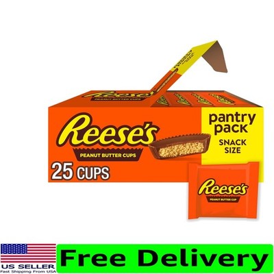Indulgent Milk Chocolate Peanut Butter Cups Pantry Pack - 25 Snack Size Treats