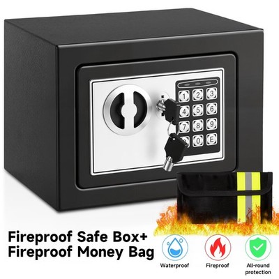 0.25 Cubic Feet Electronic Digital Safe Box, Steel Money Safe Box for Home Black