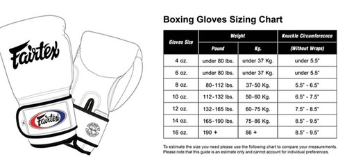 Fairtex BGL6 Lace-Up Muay Thai Boxing Gloves 8-16oz Genuine Leather Made in TH - Picture 6 of 13