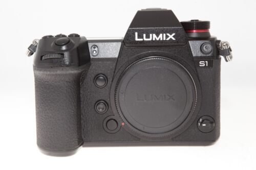 Panasonic S1