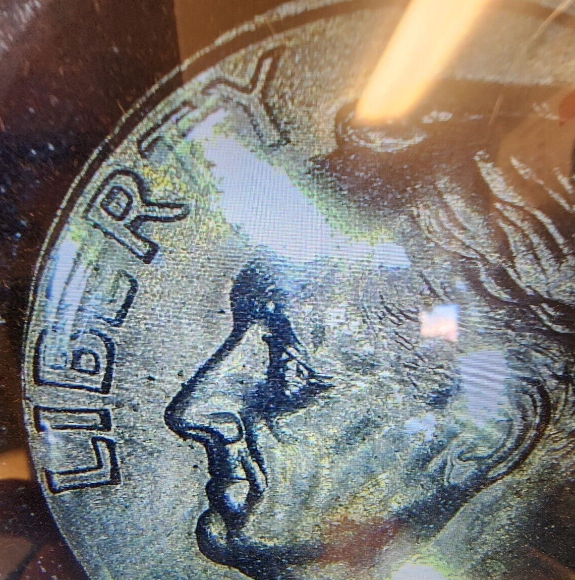 Picture 7 of 14
