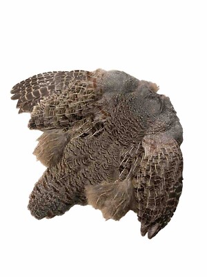 Hungarian Partridge Skin, Premium Fly Tying Feathers