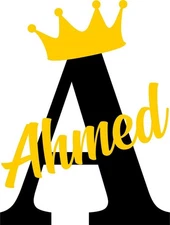 Personalized Acrylic Name Sign with Crown – Custom Wall Decor Gift for Home & Of