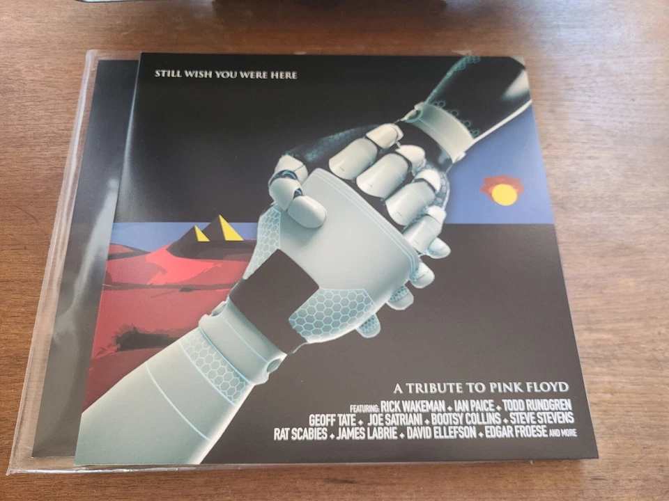 Pink Floyd Wish You Were Here LP, foto 1 di 5