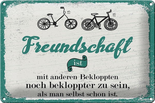 Blechschild Spruch Freundschaft Noch Bekloppter Sein 30X20 Cm Schild Tin Sign-image