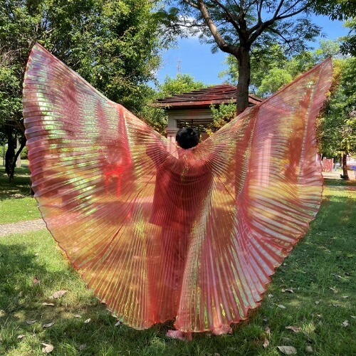 Transparent Iridescent Stage Egyptian Wings Belly Dance Isis Wings 300 Degrees - Picture 34 of 42