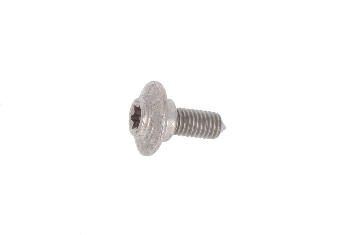 BMW Motorrad Fairing T25 Torx-Head Bolt Stainless Steel