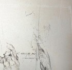Picture 10 of 13