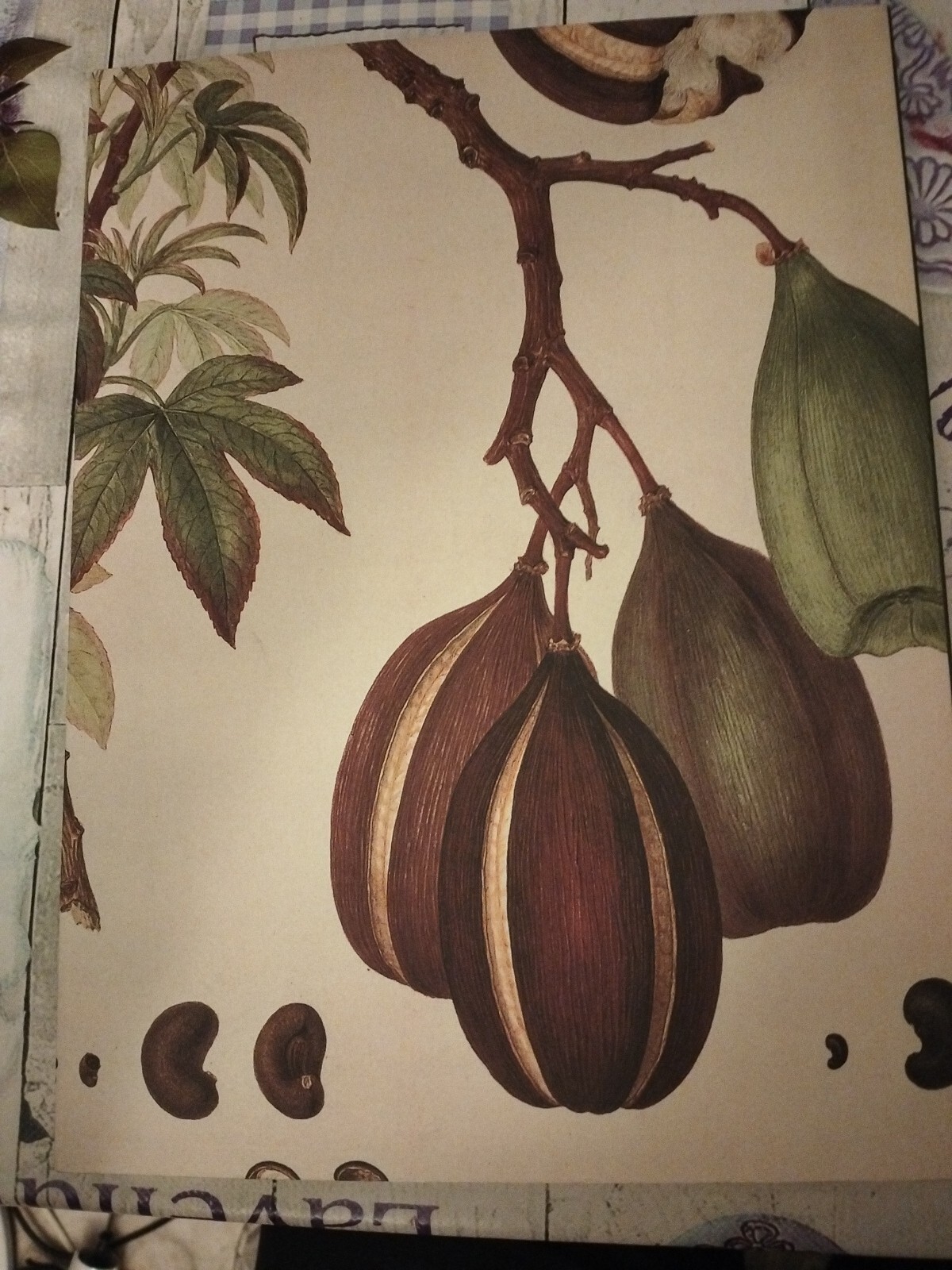 Bild 2 von 7