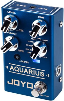 JOYO Digital Delay Effect Pedal with Looper (5 Minutes) R Series 8 Digital Delay