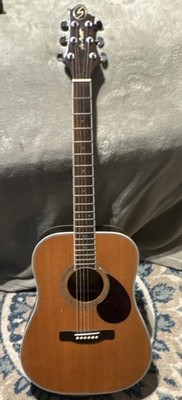 Gregg Bennett D7 with  Road Runner polyfoam travel case
