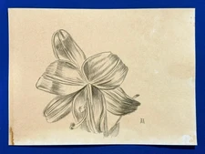 Alberto Durero (Handmade) Drawing on antique paper Signed and Sealed.