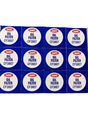 Casite Oil Filter CF3807 QTY12 