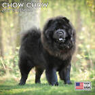 Chow Chow Calendar 2025 - Dog Breed Wall Calendar - Made in the Usa!