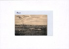 Bild 5 von 12