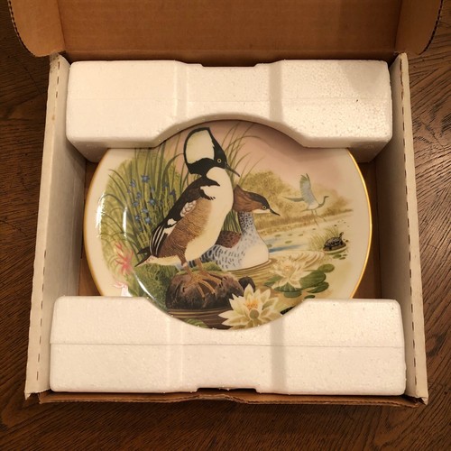 Escenas como nuevas de Danbury de un plato de cañada boscosa de Jo Polseno merganser con capucha - Imagen 3 de 3