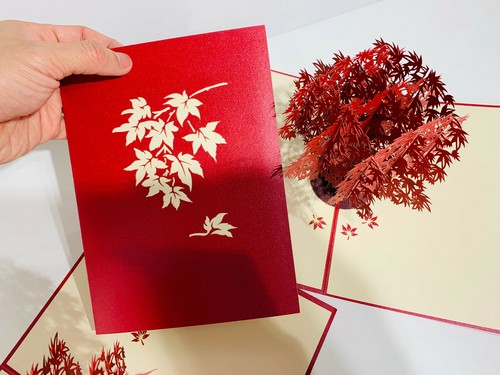 Origami Pop Cards Red Japanese Maple Tree 3D Pop Up Greeting Card Mother's Day - Picture 12 of 12