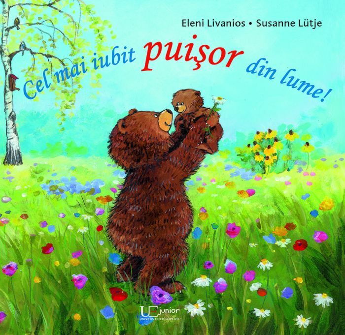 Foto 13 di 79