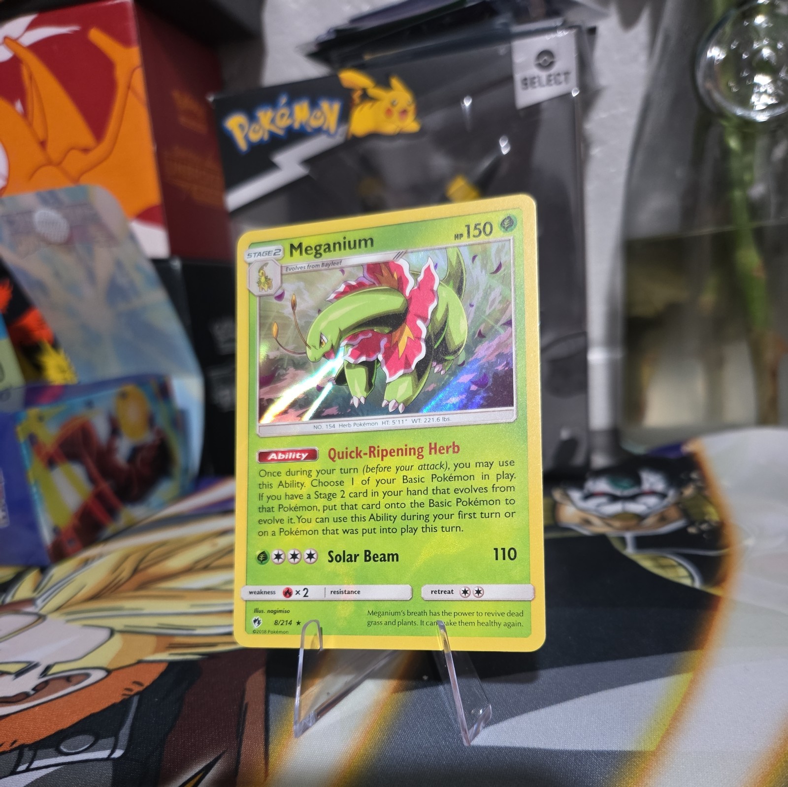 2018 Pokemon Meganium S&M Lost Thunder Holo Rare #8/214 Sun Moon