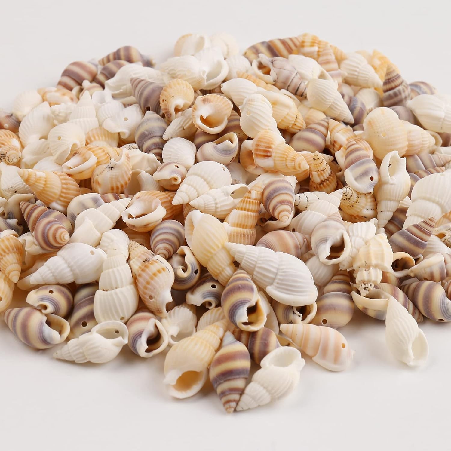 100 Muschelperlen-Set Aus Echter Naturmuschel – Oval, Glatt & Glänzend Für Schmuck, DIY & Deko